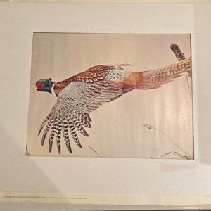 Vintage wildlife print